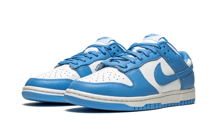 Nike Dunk Low UNC