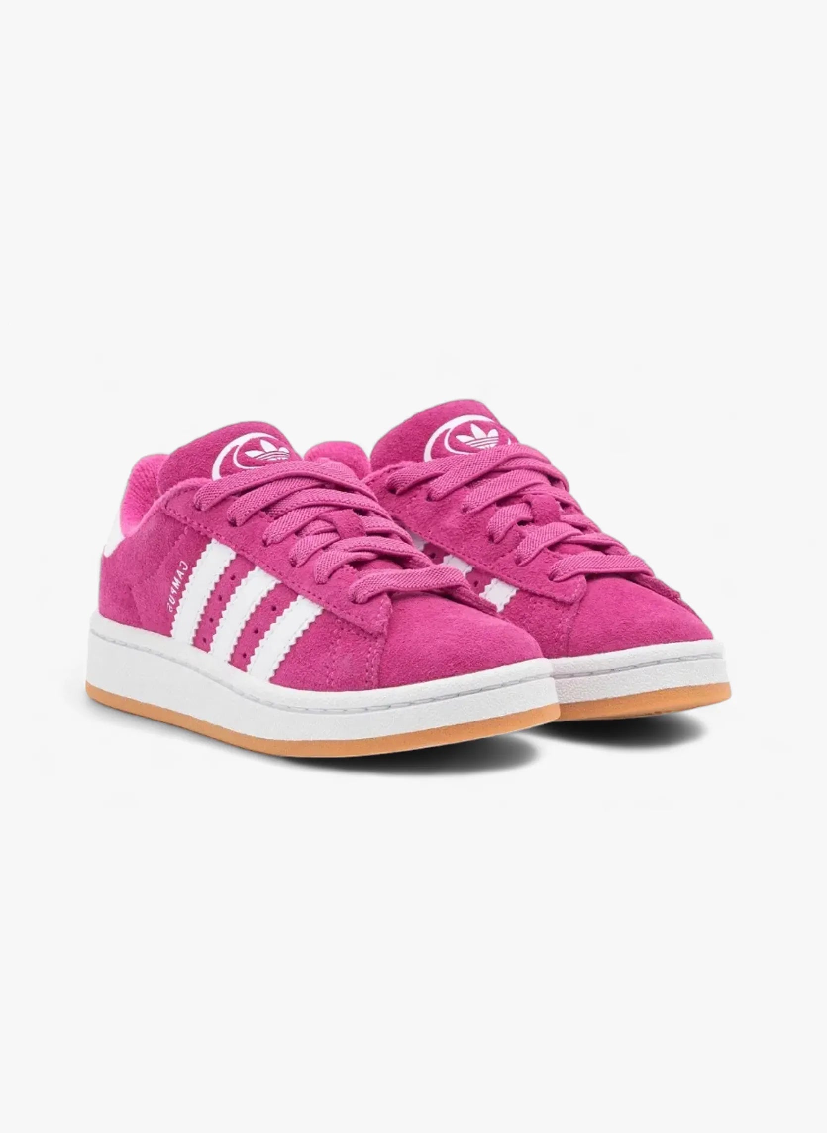 Campus 00s Semi Lucid Fuchsia - IG9156