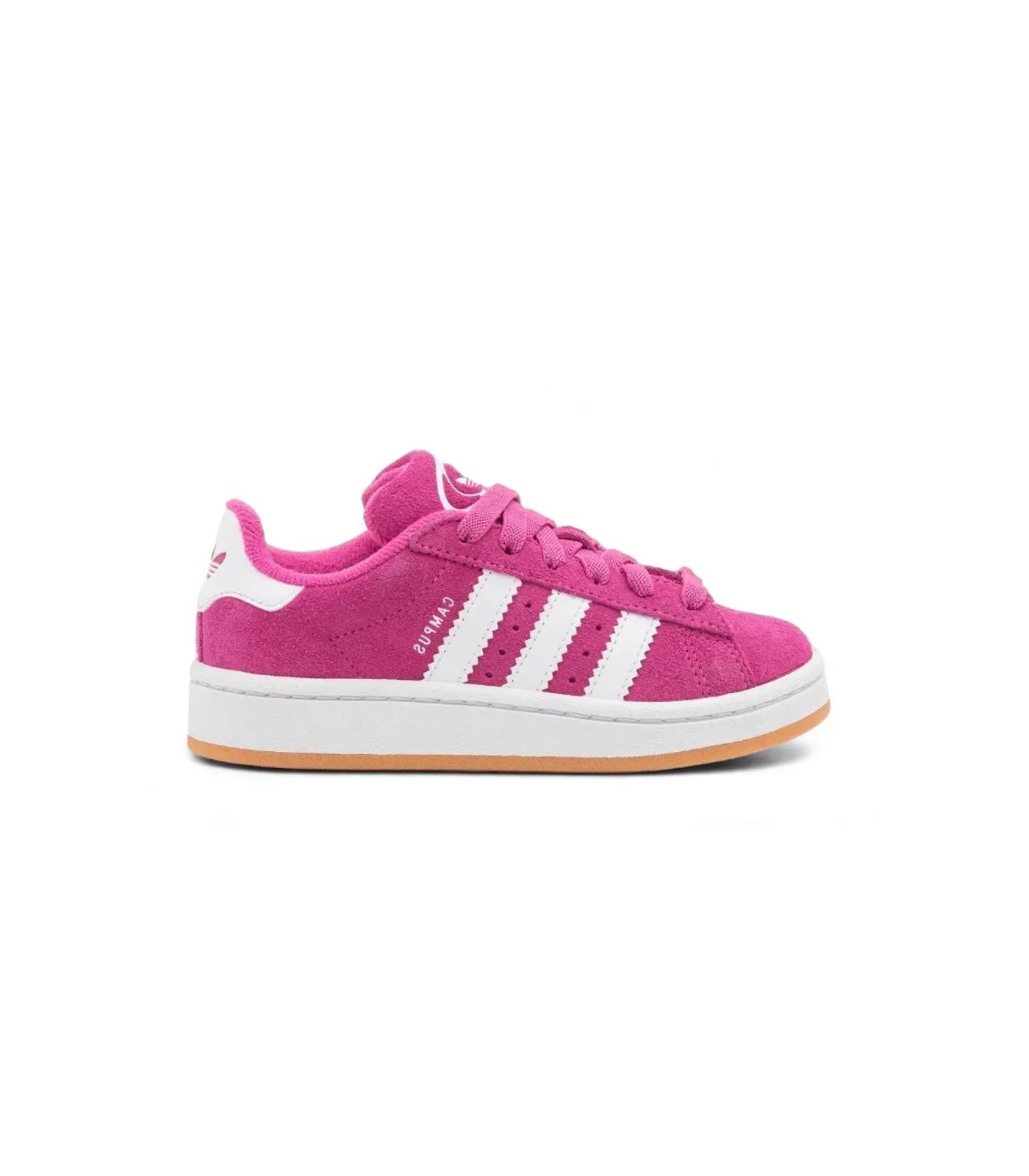 Campus 00s Semi Lucid Fuchsia - IG9156